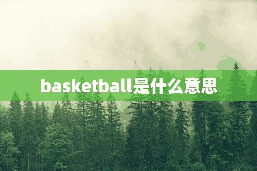 basketball是什么意思